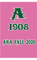 Aka Fall 2020 Fall Aka 1908