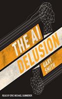 AI Delusion Lib/E