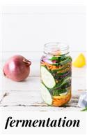 fermentation