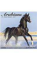 Arabians 2018 Calendar