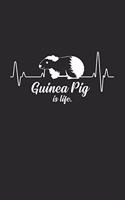 Guinea Pig is life