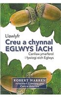 Creu a Chynnal Eglwys Iach