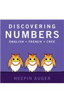 Discovering Numbers