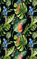 My Big Fat Journal Notebook For Bird Lovers Tropical Parrots Pattern 2: 300 Plus Pages, Jumbo Sized Plain, Blank Unlined Journal Notebook For Journaling, Writing, Planning and Doodling In Large 8.5 by 11 Size.(2 Whopper Plain Journal)