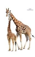 Giraffe Unruled Notebook: Unruled, Blank Notebook. No Lines. No Page Numbers. Glossy Cover with Image on Front and Back. Full Size at 8.5 X 11 Inches. Great for Artwork or Jo