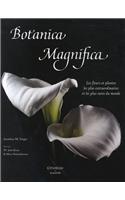 Botanica Magnifica: Les Fleurs Et Plantes Les Plus Extraordinaires Et Les Plus Rares Au Monde