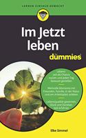 Im Jetzt leben fur Dummies