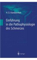 Einführung in Die Pathophysiologie Des Schmerzes
