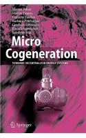 Micro Cogeneration