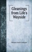 Gleanings from Life's Wayside