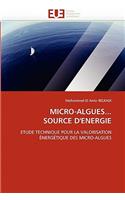 Micro-Algues... Source d''energie: (Omn.Univ.Europ.)