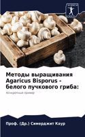 Методы выращивания Agaricus Bisporus - белого пучкового г&