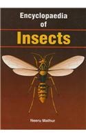 Encyclopaedia Of Insects (Set Of 2 Vols)