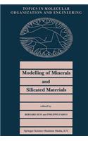 Modelling of Minerals and Silicated Materials