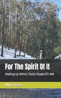 For The Spirit Of It