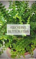 Growing Button Fern