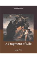 A Fragment of Life: Large Print