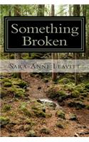 Something Broken