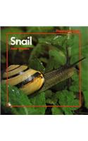 Snail