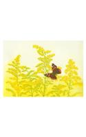 Maurice Bebb Goldenrod and Red Admiral Boxed Small Notecards