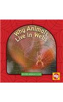 Why Animals Live in Webs