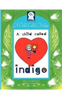 Pick-A-Woowoo: A Child Called Indigo