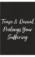 Tease and Denial Prolongs Your Suffering