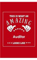 This is What an Amazing Auditor Look Like