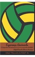 Esperança Auriverde: O Campeonato Sul-Americano Em 1949 Em 29 Microcontos de Futebol