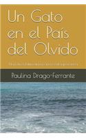 Un Gato en el País del Olvido: Narrativa latinoamericana contemporánea