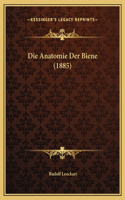 Die Anatomie Der Biene (1885)