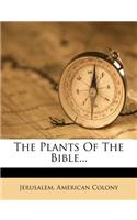 The Plants of the Bible...