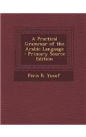 A Practical Grammar of the Arabic Language - Primary Source Edition