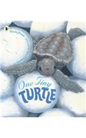 One Tiny Turtle