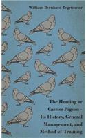 Homing or Carrier Pigeon - Its History, General Management, and Method of Training