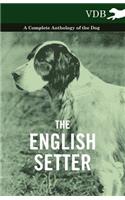 English Setter - A Complete Anthology of the Dog