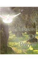 Garden of Prayer: Every Tear You Cried is Water for the Garden of Your Victory