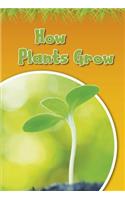 How Plants Grow