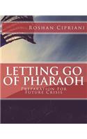Letting Go Of Pharaoh: Preparation For Future Crisis(English)
