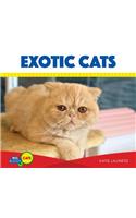 Exotic Cats