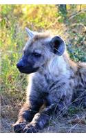 Spotted Hyena Animal Journal: 150 Page Lined Notebook/Diary