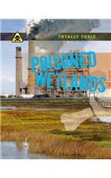 Poisoned Wetlands