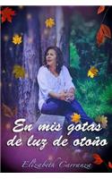 mis gotas de luz de otoño