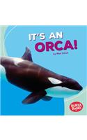 It's an Orca!: (Bumba Books — Polar Animals)