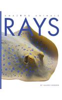 Rays