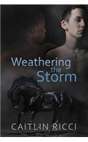 Weathering the Storm
