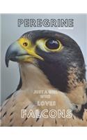 Peregrine falcon Sketchbook Large sketchbook for drawing 8.5 x 11 inch (21.59 x 27.94 cm) 150 pages: Peregrine falcon blank Journal & blank notebook, sketch, Draw & Doodle