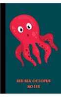 red sea octopus notes