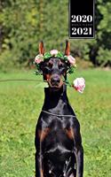 Doberman Dog Calendar Week Planner 2020 / 2021 - Time for a Dance: Pup Puppy Doggie Pet Owner Weekly Bullet Journal Notebook Diary in 6" x 9" Inch Pocket Size