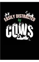 Easily Distracted by Cows